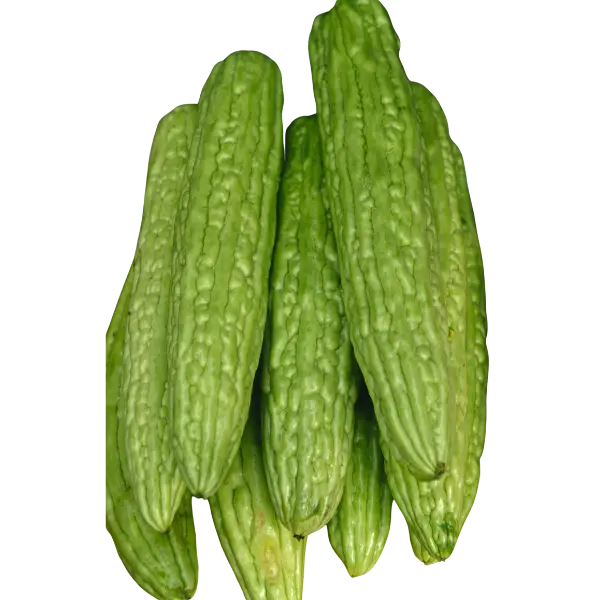 Thai Bitter Melon - 500 g