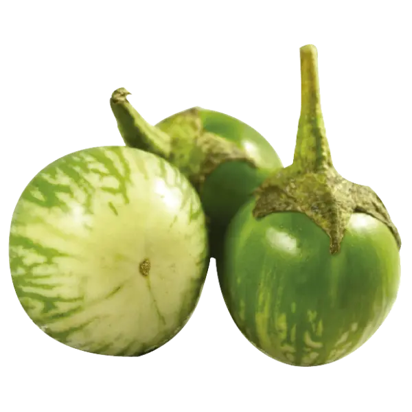 Thai Eggplant/ Aubergine Green - 500 g