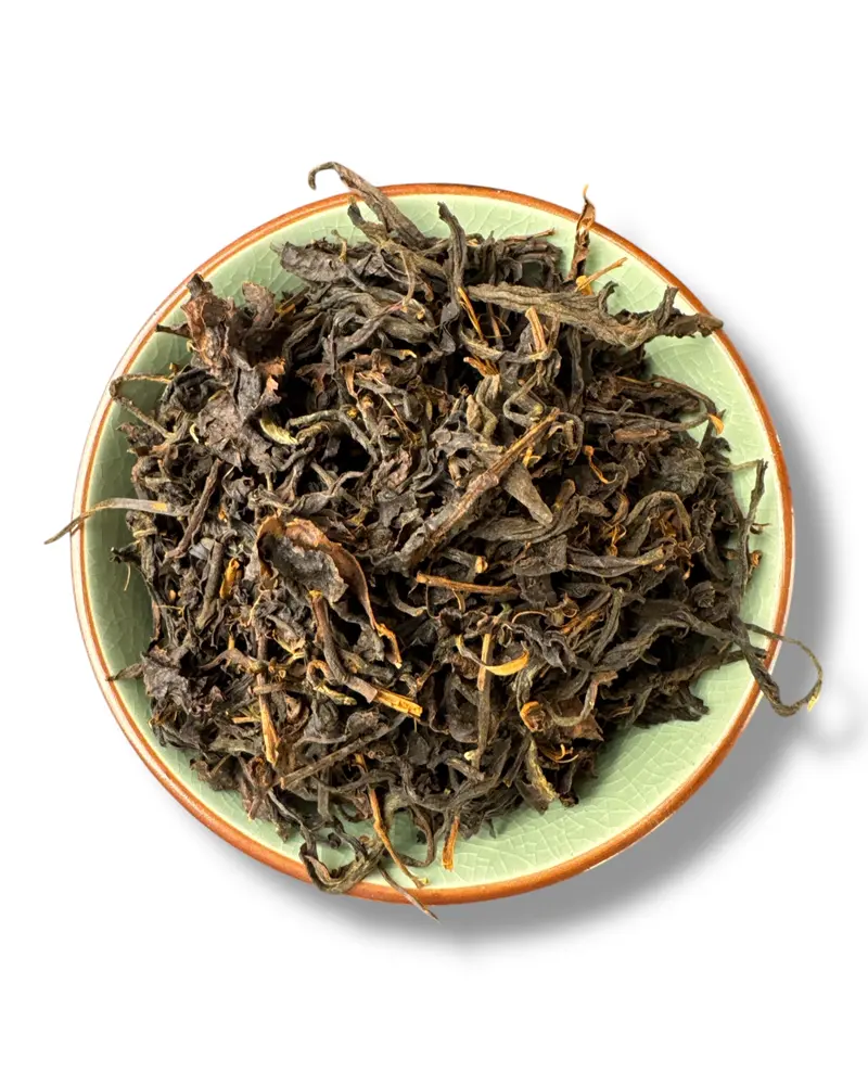 Thailand Fancy Choice Oolong Bio – Bergoolong aus Maesalong, Chiang Rai | Teemotion