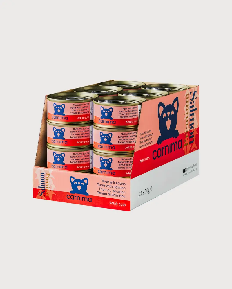 Thunfischfilet mit Lachs in Gelee für erwachsene Katzen