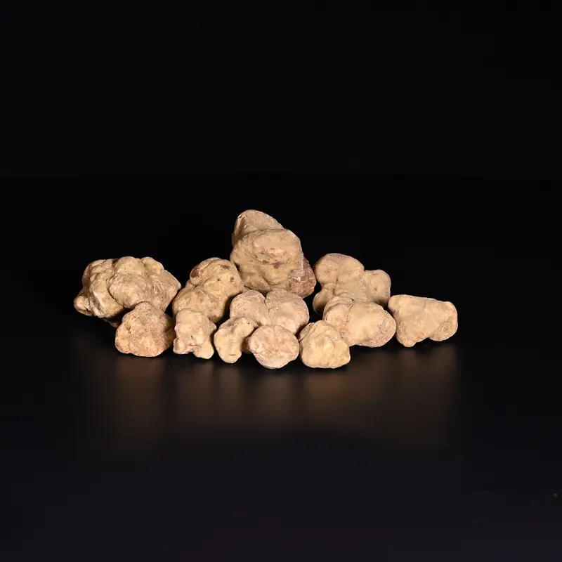 Trüffel weiss | frisch | Italien | ab 10 g