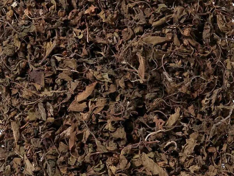 Tulsi BIO