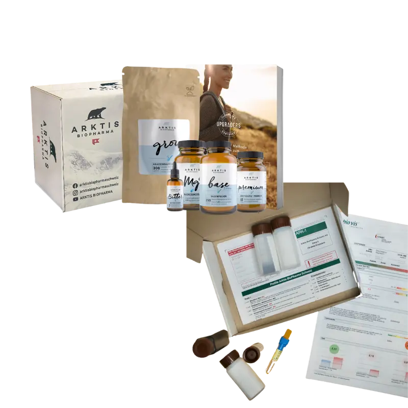 Upgrade Your Gut Paket