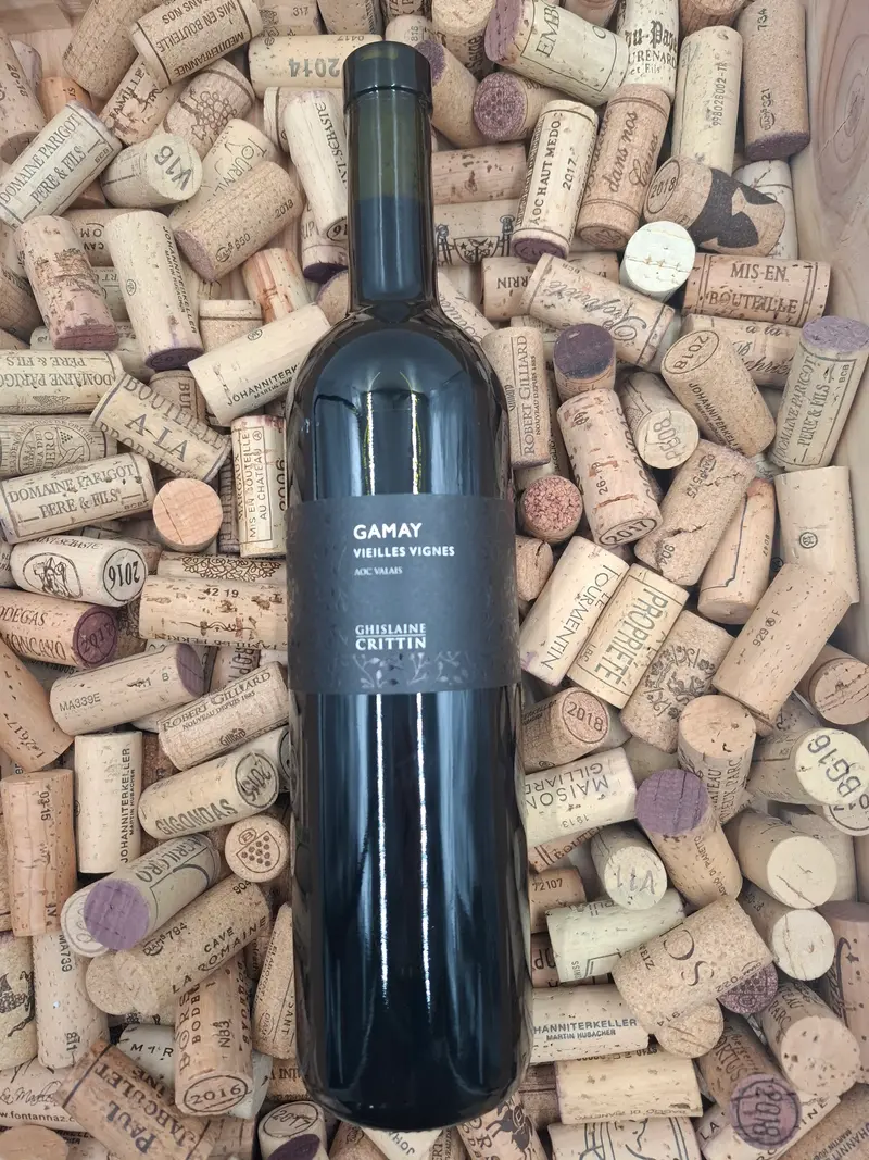 Valais | Gamay Vieilles Vignes 50cl | 2025