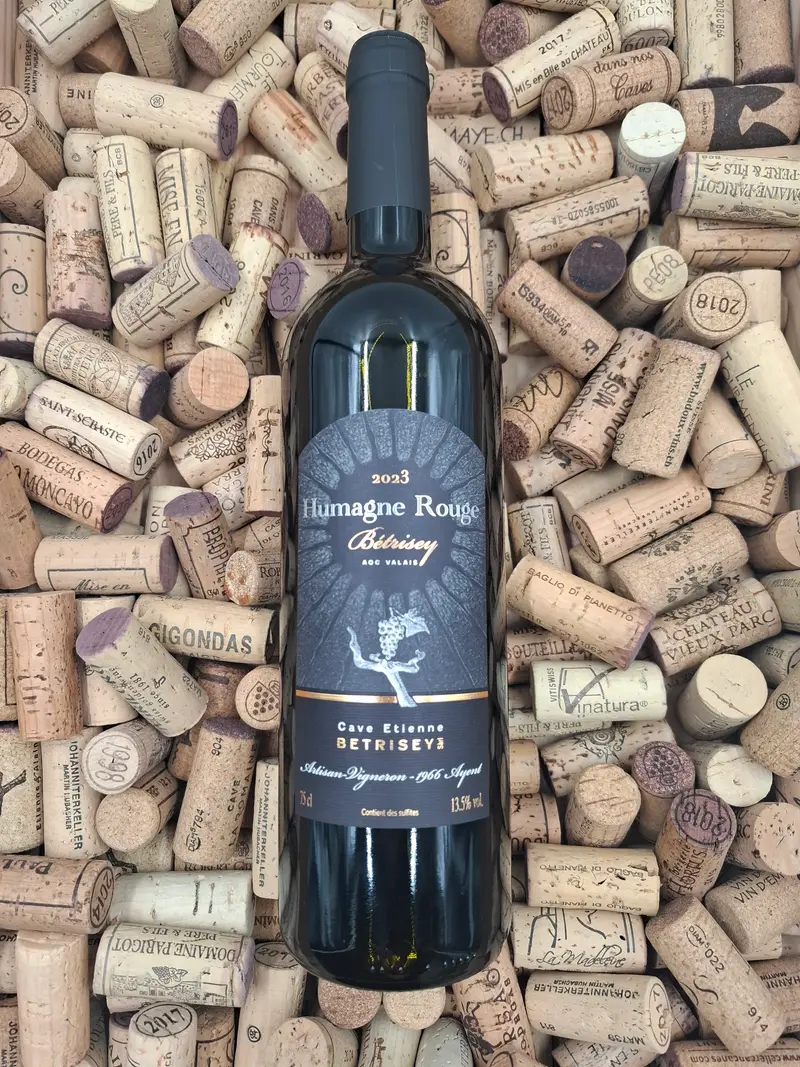 Valais | Humagne Rouge | Bétrisey Ayent 75cl | 2023