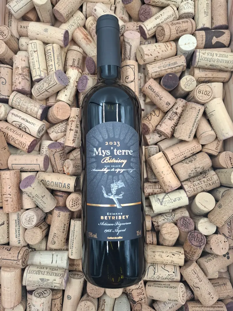 Valais | Mys'terre | Bétrisey Ayent 75cl | 2025