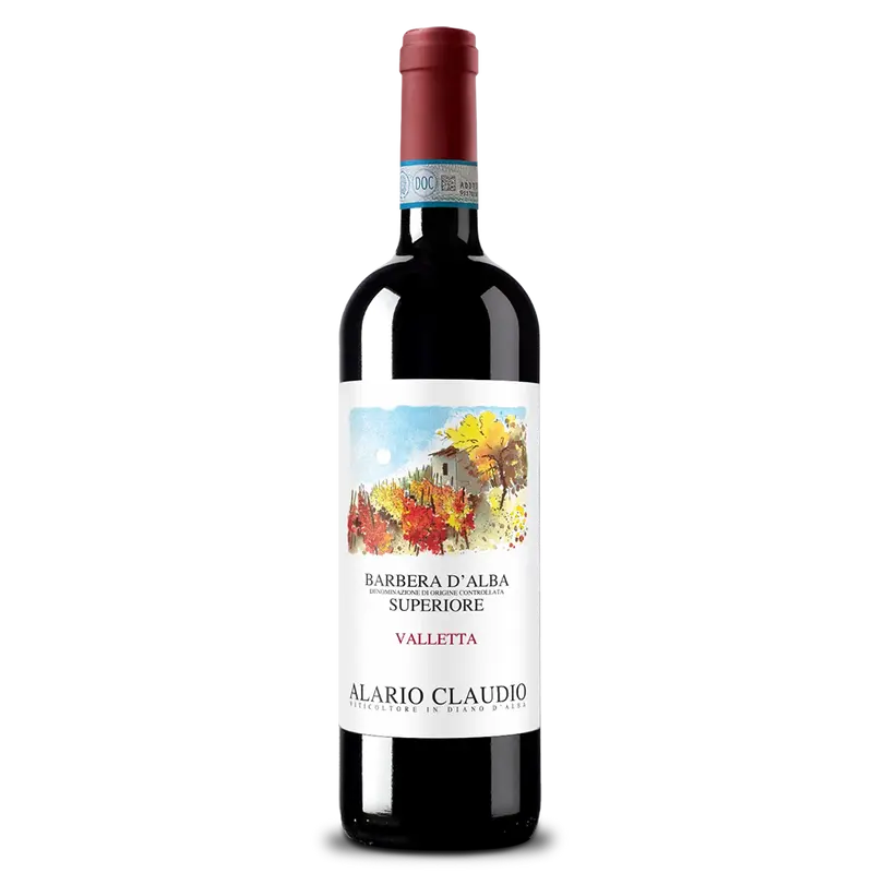 Valletta Barbera d‘Alba 2021 DOC