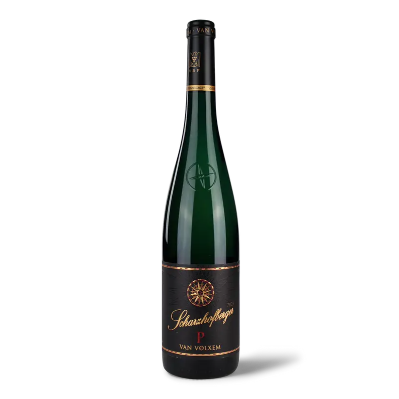 Van Volxem Riesling "Scharzhofberger Pergentsknopp" GG 2023