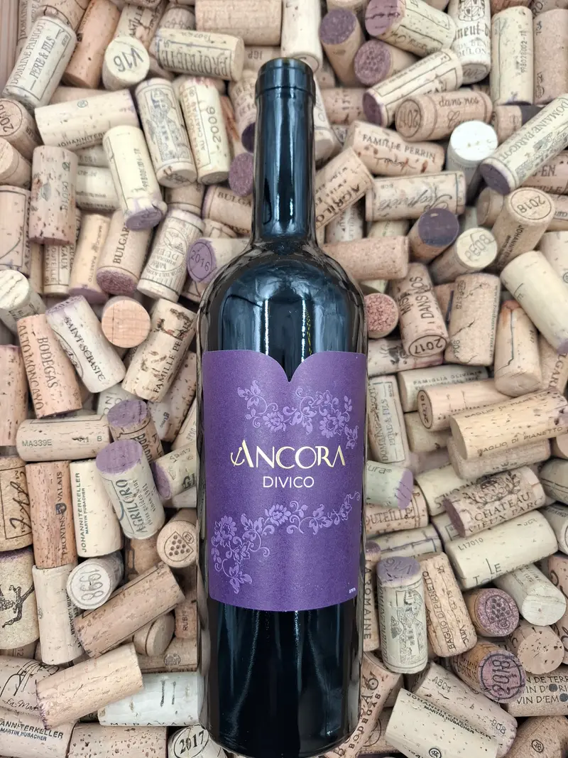 Vaud | Ancora Divico VdP 75cl | 2023
