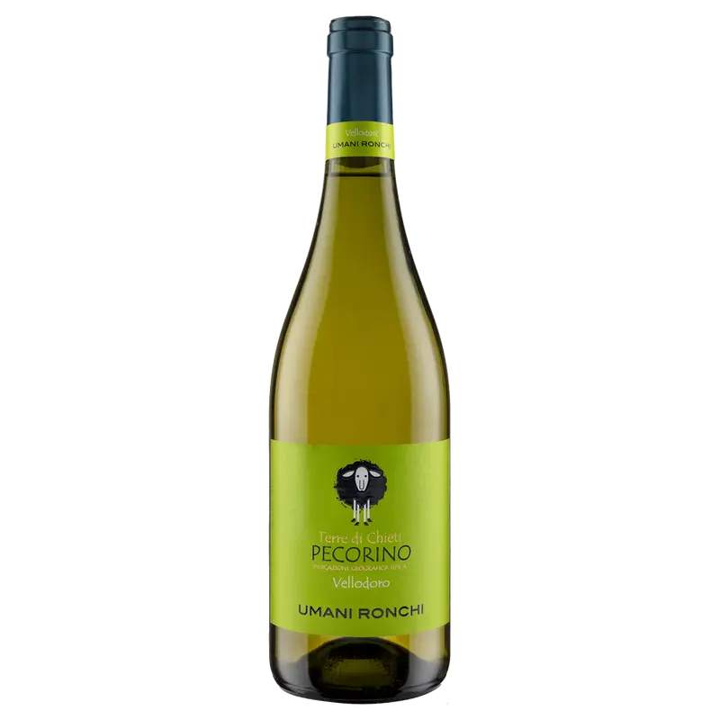 Vellodoro Pecorino 2025 Terre di Chieti igt