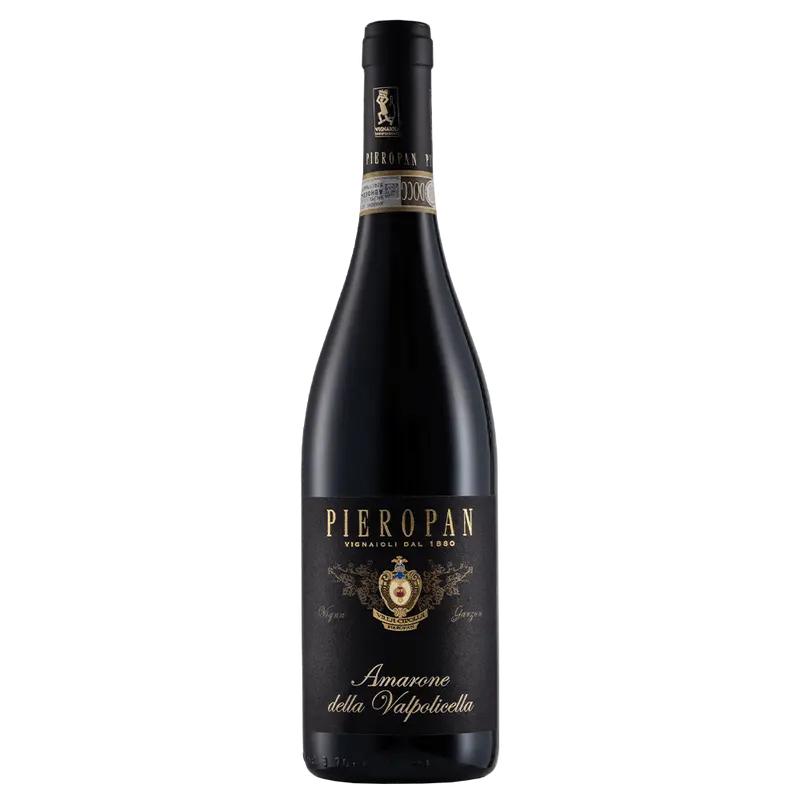 Vigna Garzon Amarone della Valpolicella 2019 DOCG