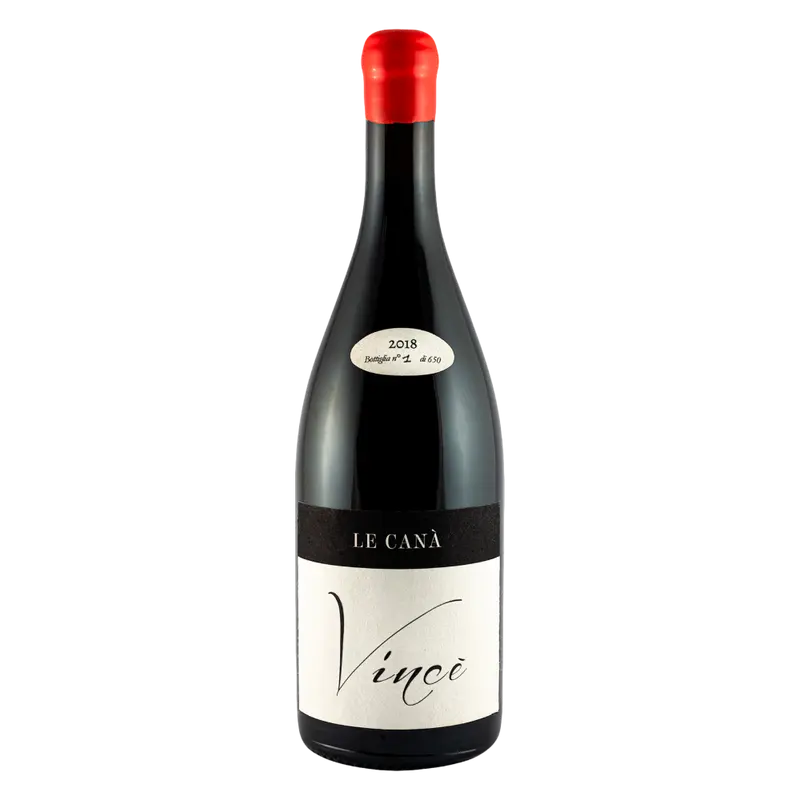 Vince’ 2021 Rosso Marche igt