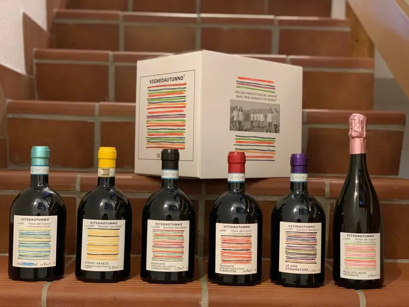 VITIDAUTUNNO® LINIE (6 Flaschen)