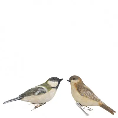 Vogel div. Farben