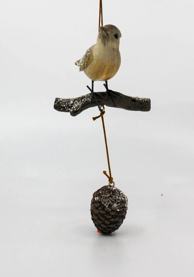 Vogel hängend mit Zapfen