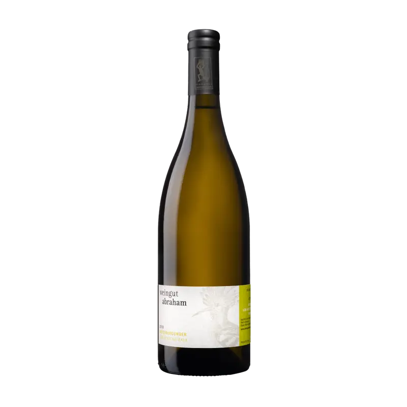 Vom Muschelkalk Weissburgunder 2024 Weinberg Dolomiten igt