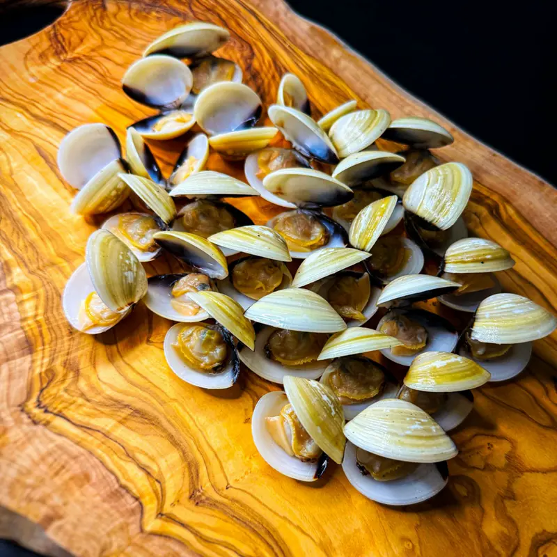 Vongole, Venusmuscheln