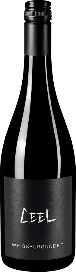 Weißburgunder 2024