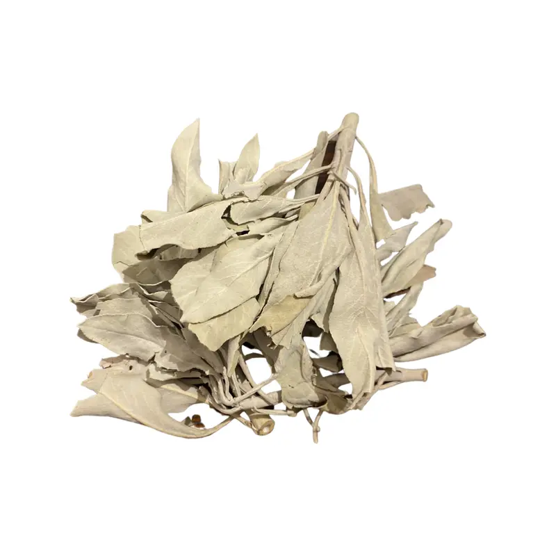 Weisse Salbei | Salvia apiana | 50g Blätter ganz