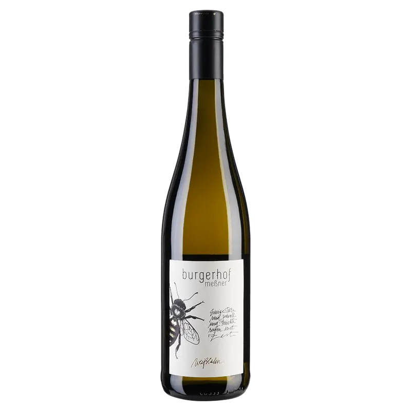Weisslahn Johanniter 2021 Weinberg Dolomiten igt
