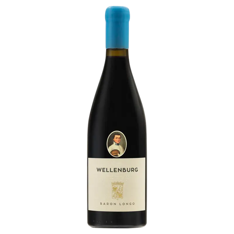 Wellenburg 2020 Weinberg Dolomiten igt