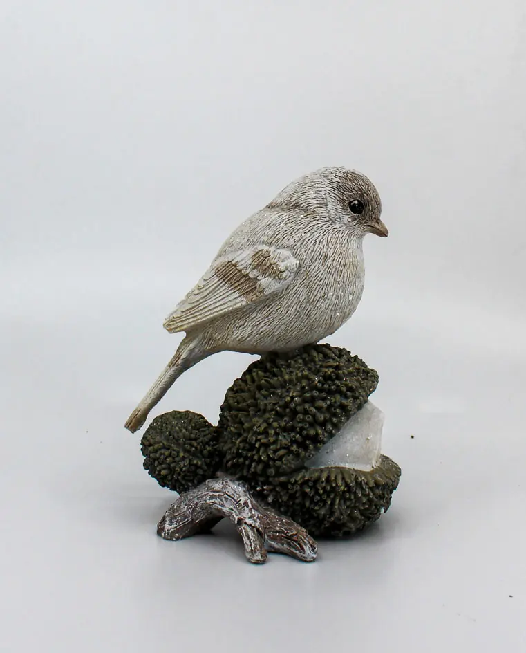 Wintervögel auf Frucht