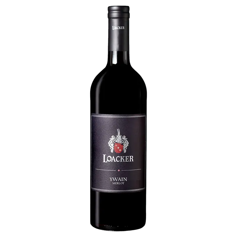 Ywain Merlot 2024 Weinberg Dolomiten igt